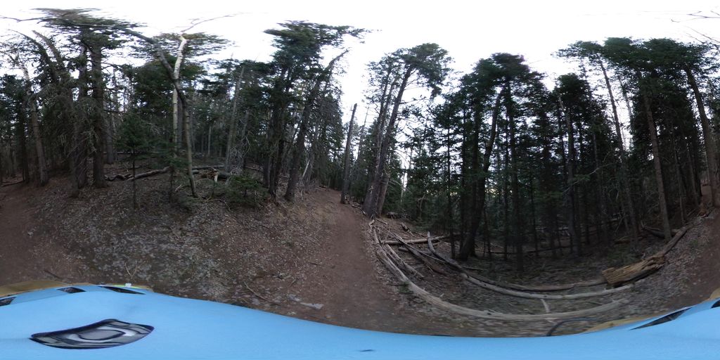 Switchback Trail