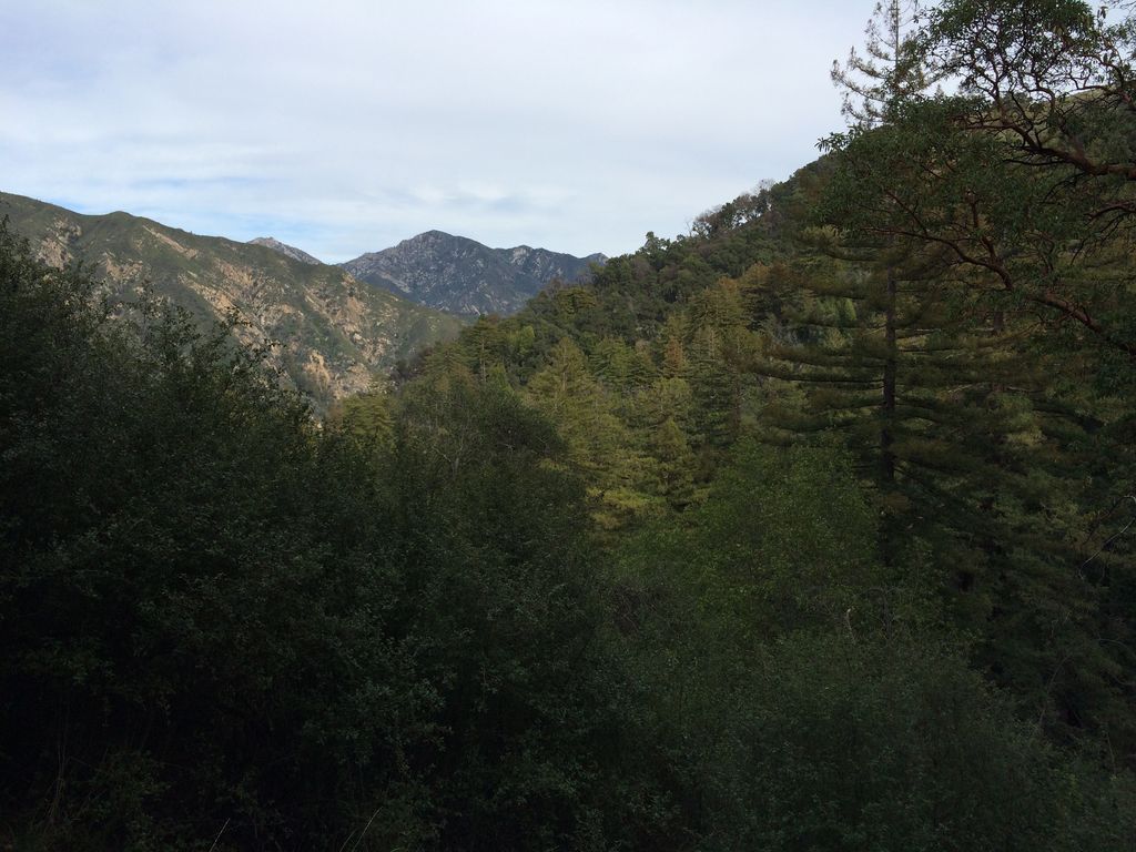 Terrace Creek Trail