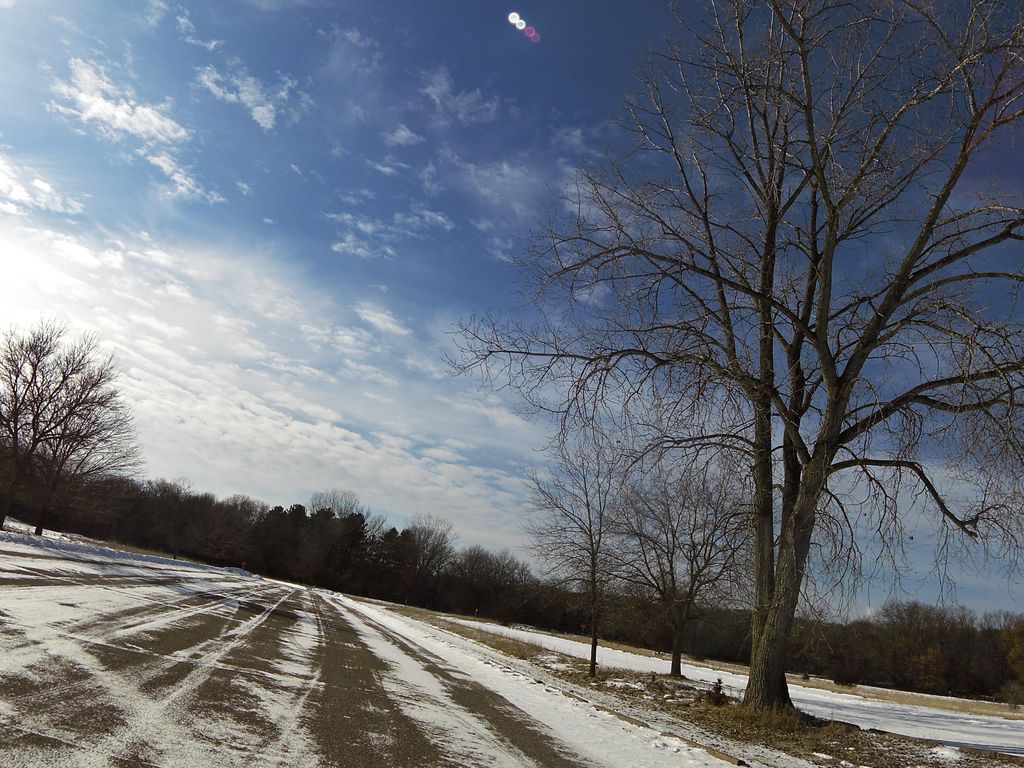 White Tail Trail