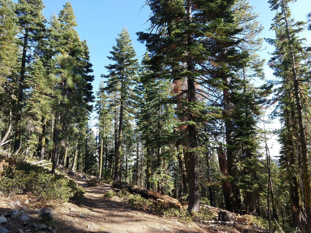 Dream Lake Trail