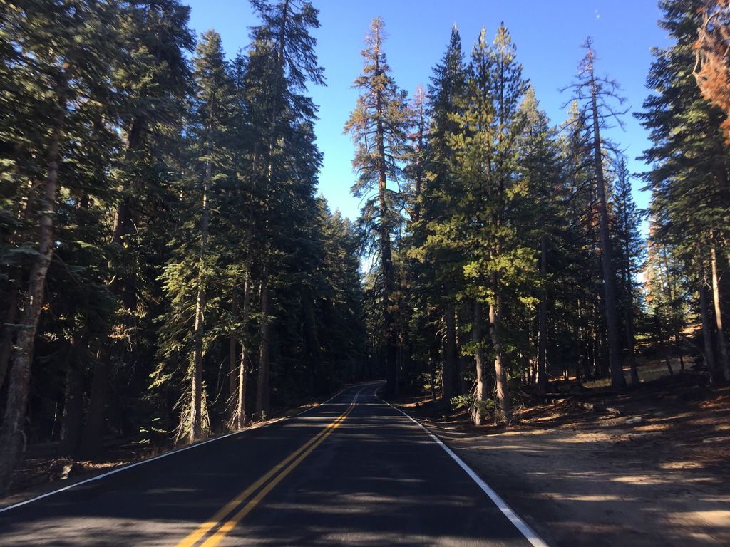 Sentinel Dome Trail