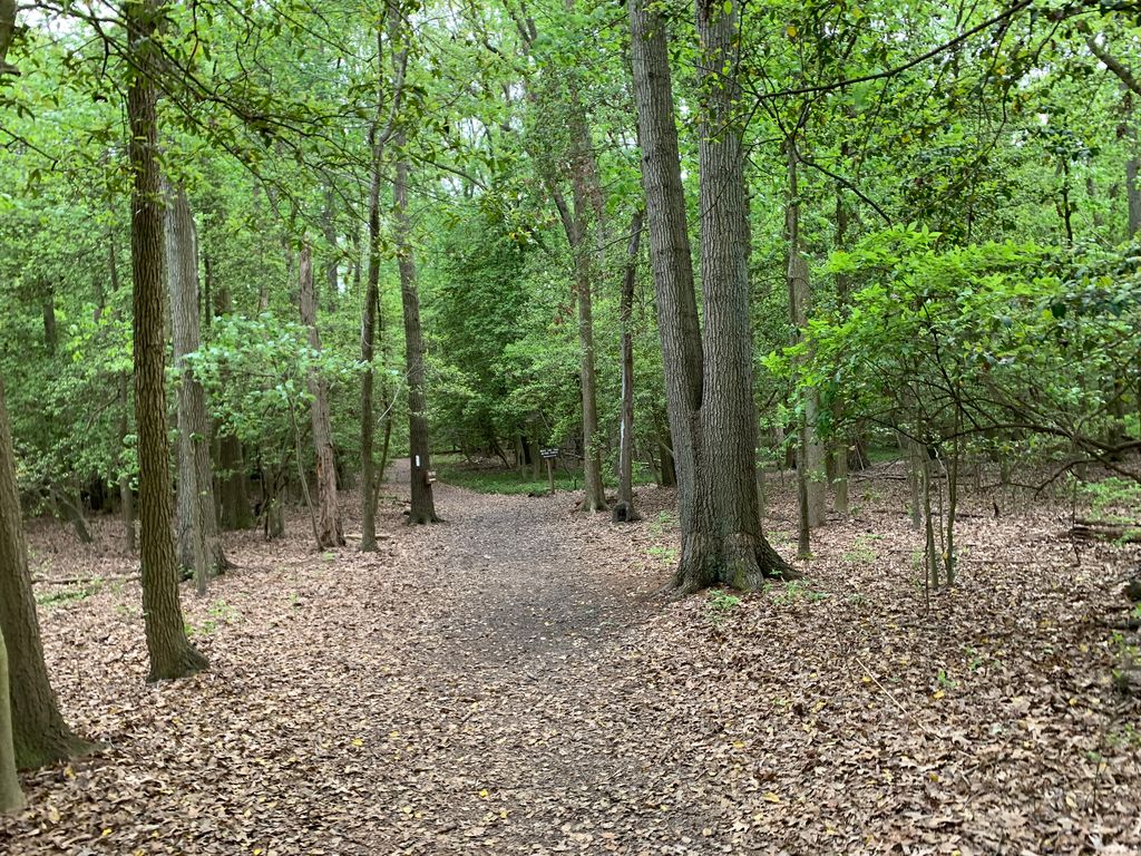 White Tail Trail