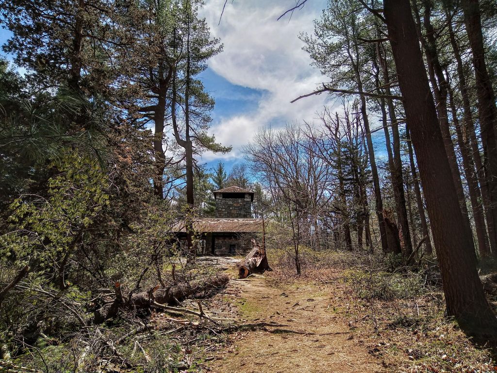 Skyline Trail
