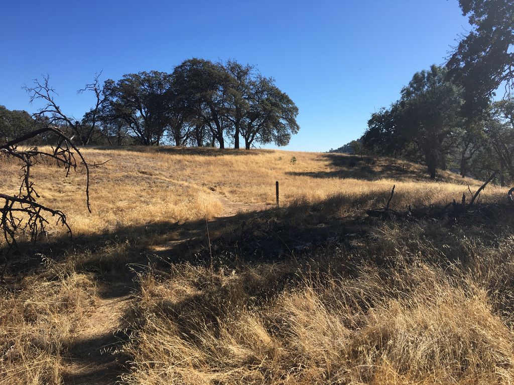 Deer Horn Camp 3