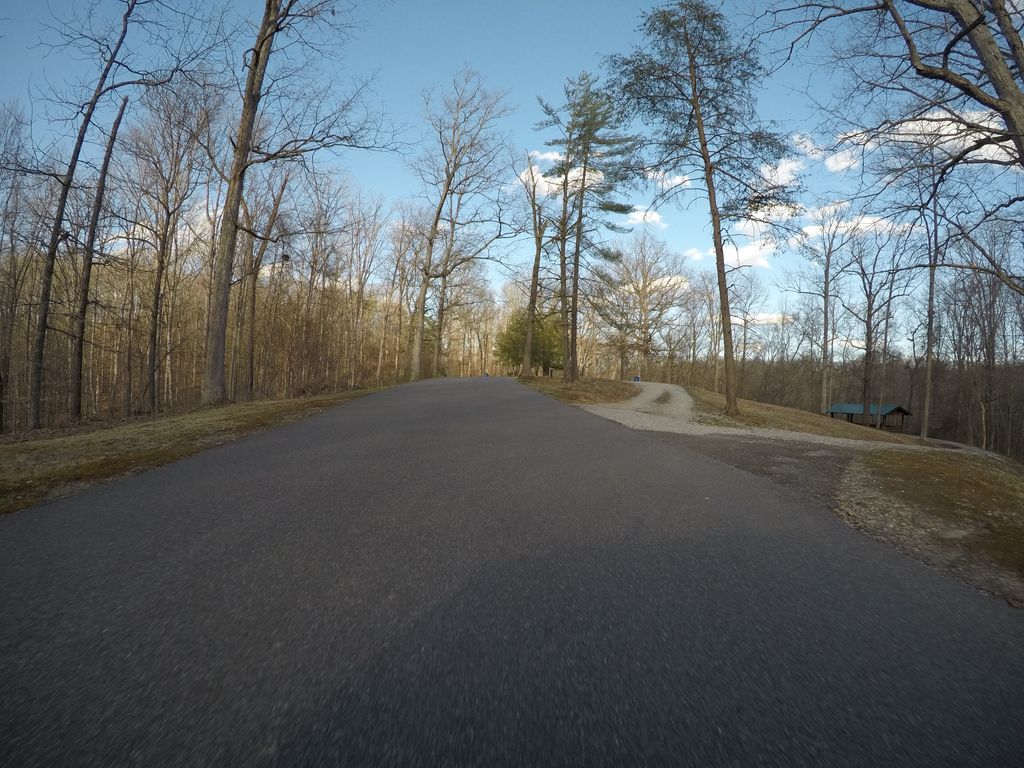 Oak Trail