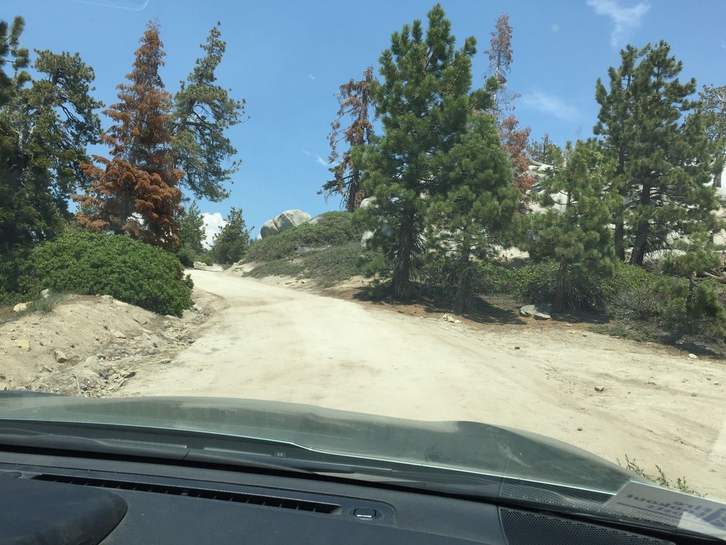 Buck Hill Campsite