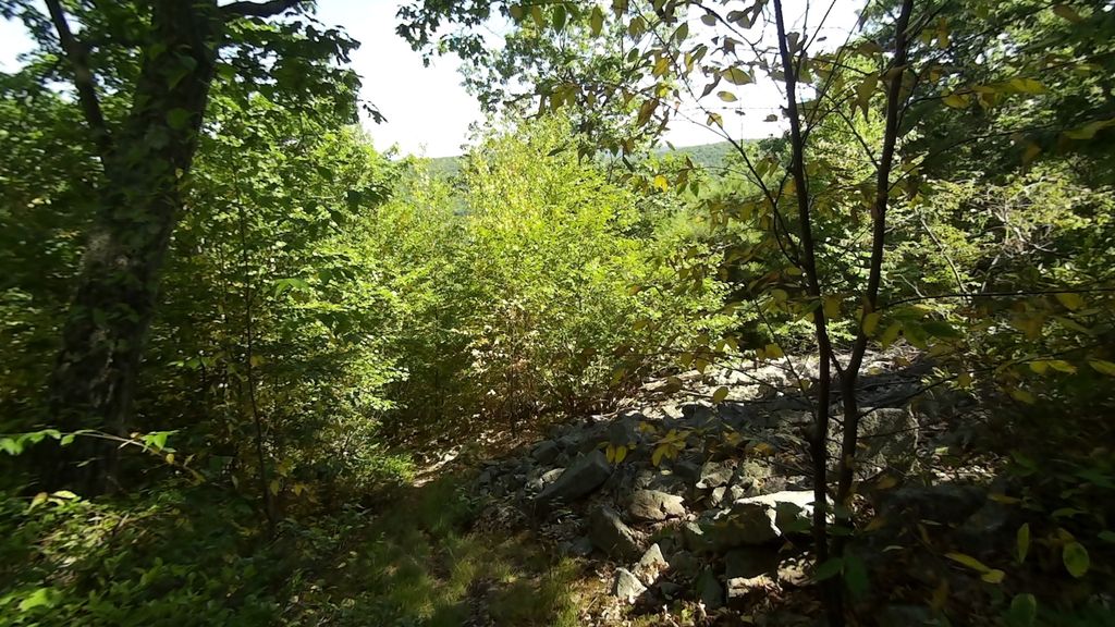 Bear Meadows Loop