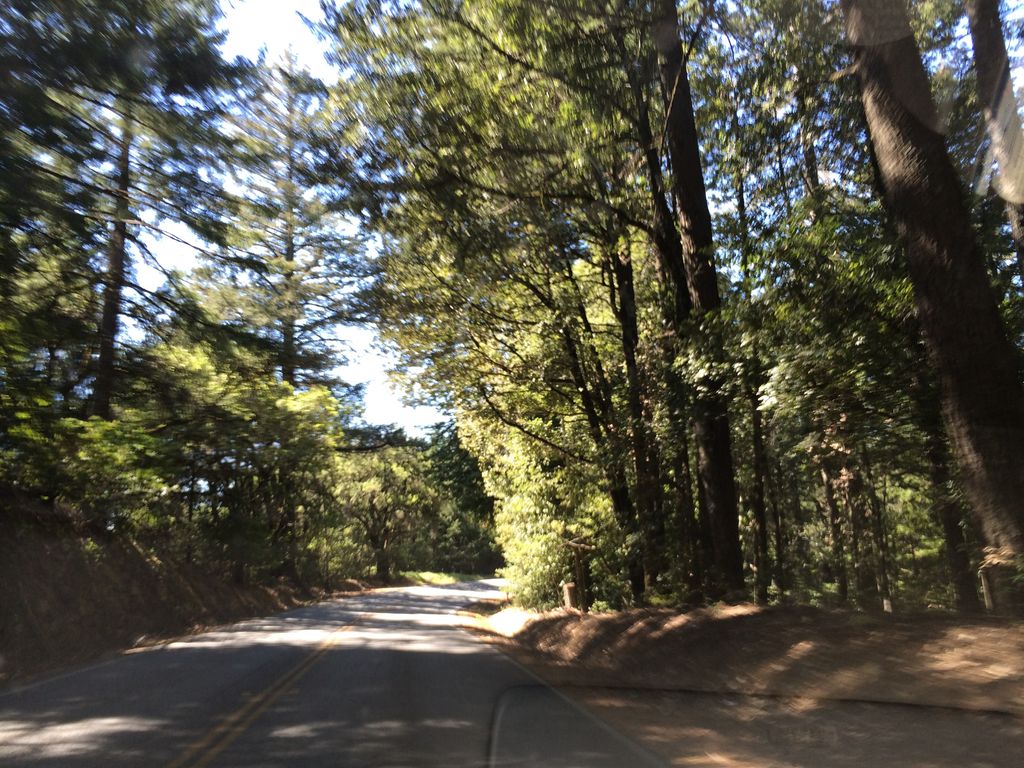 Red Mountain Trail Camp
