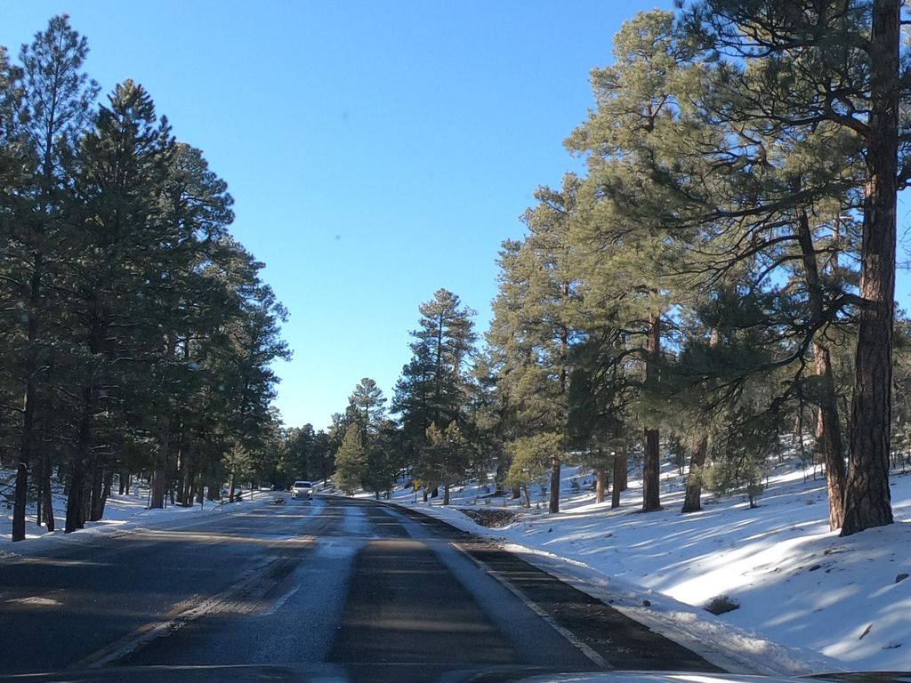 Zuni Trail