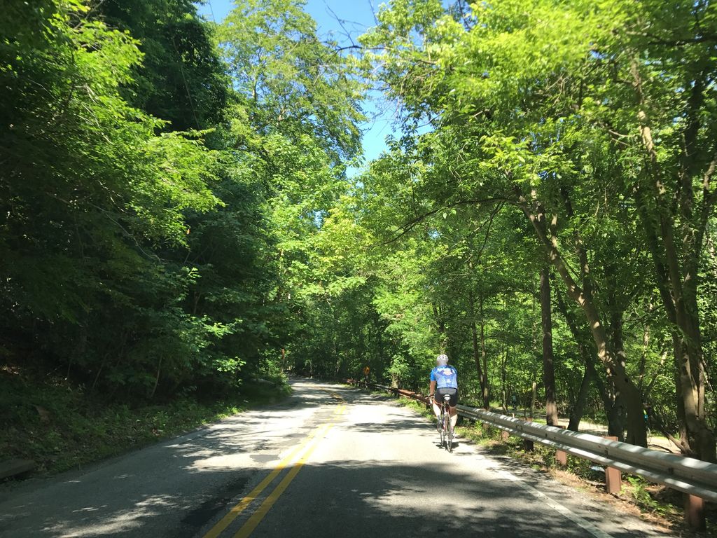 Old Spring Trail