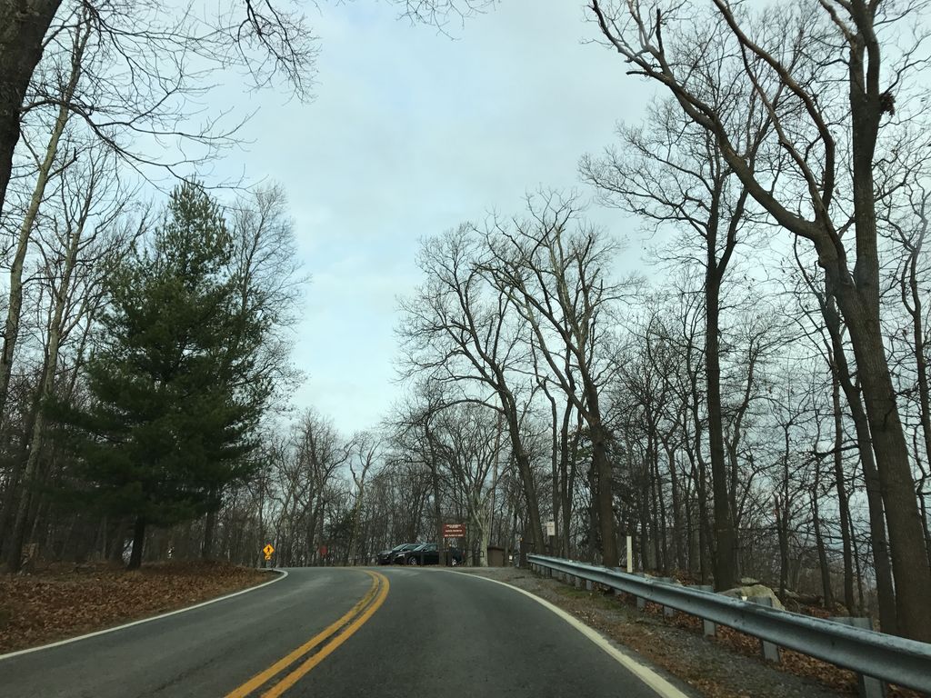 Green Ash Trail
