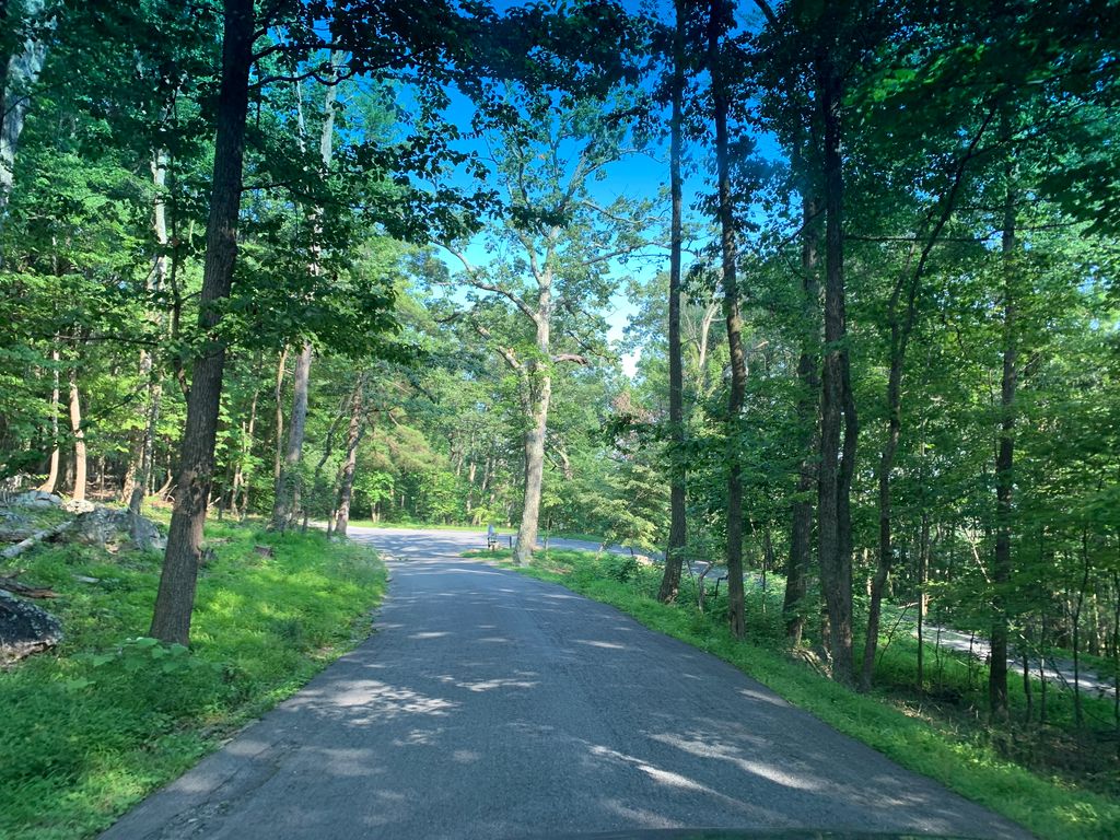 The Sunrise Trail