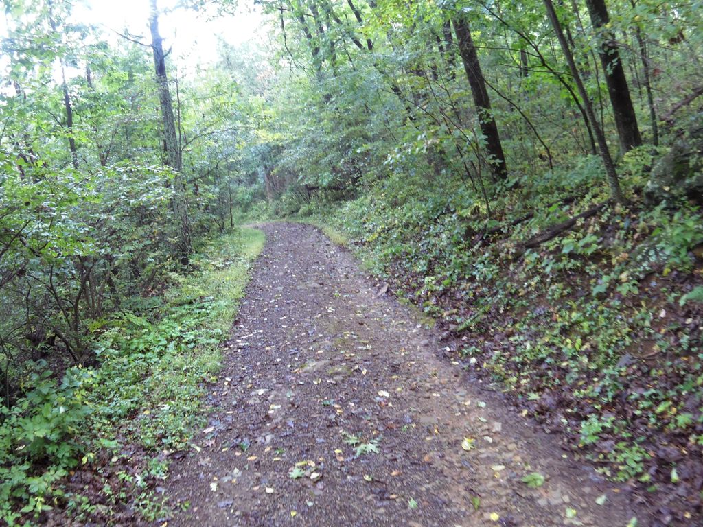 Traces Nature Trail