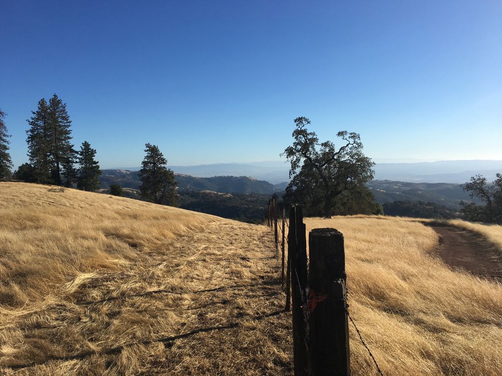 Two Oaks Camp