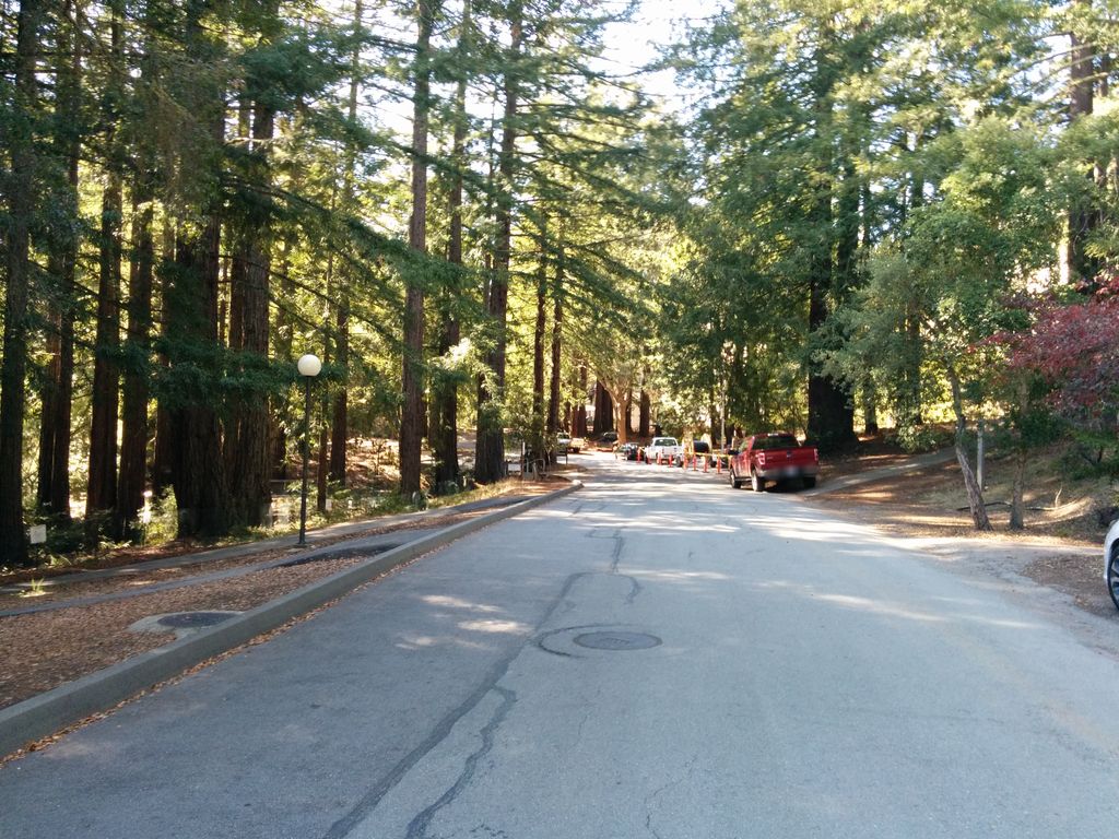 Science Hill wheelchair accessibility