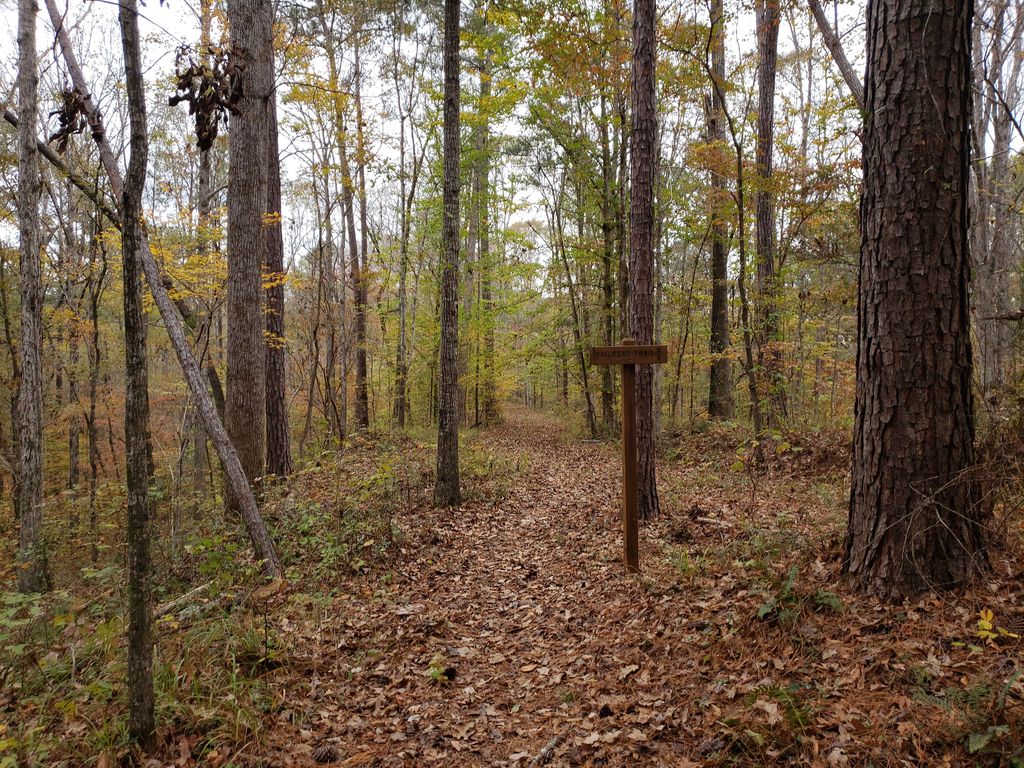 Lowline Railroad Trail