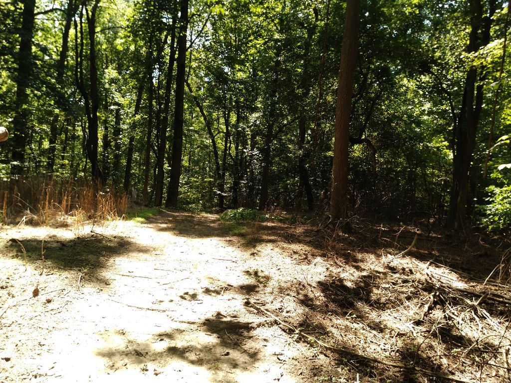 Double Oak Road Trail