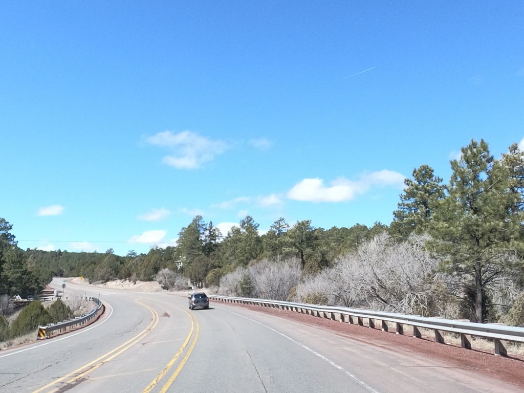 Gambel Spur Trail