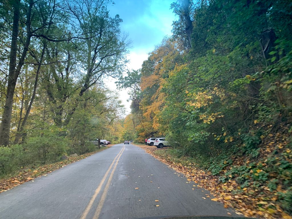 Susquehanna Ridge Trail (red)