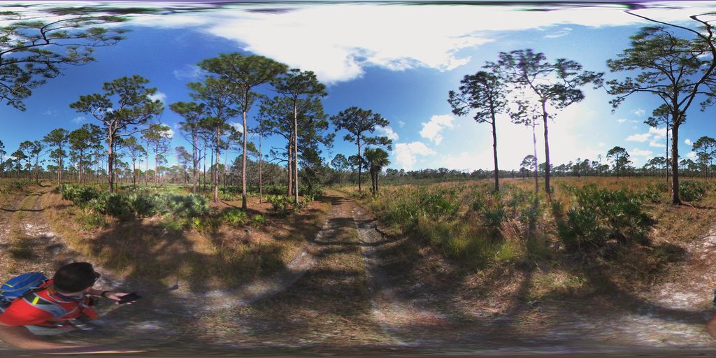 Blue trail (Eeagle View, JDSP)