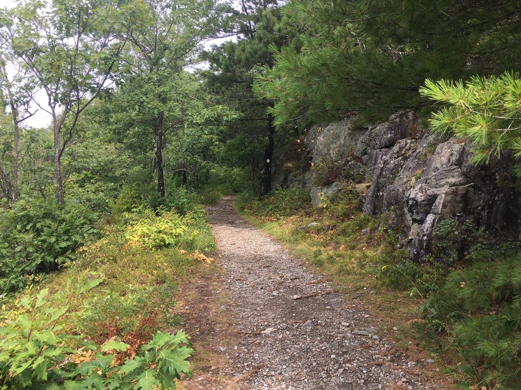Turtleback Mountain Summit Trail