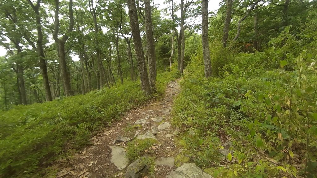 Thickhead Mountain Hiking