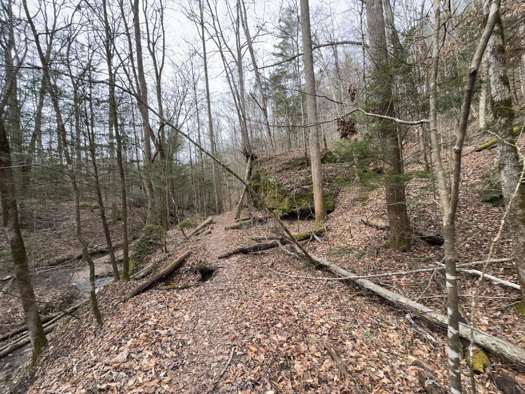 Whittleton Branch Trail #216