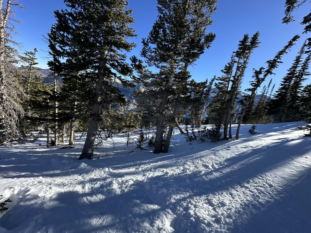 Flat Top Mountain Trail