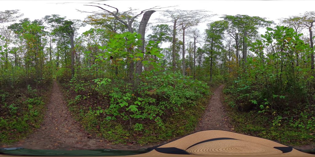 Shortcut Trail