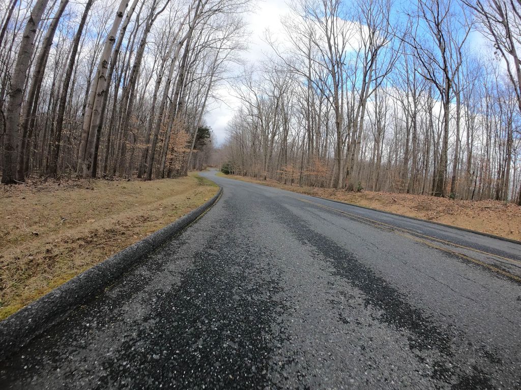Cabin Branch Trail