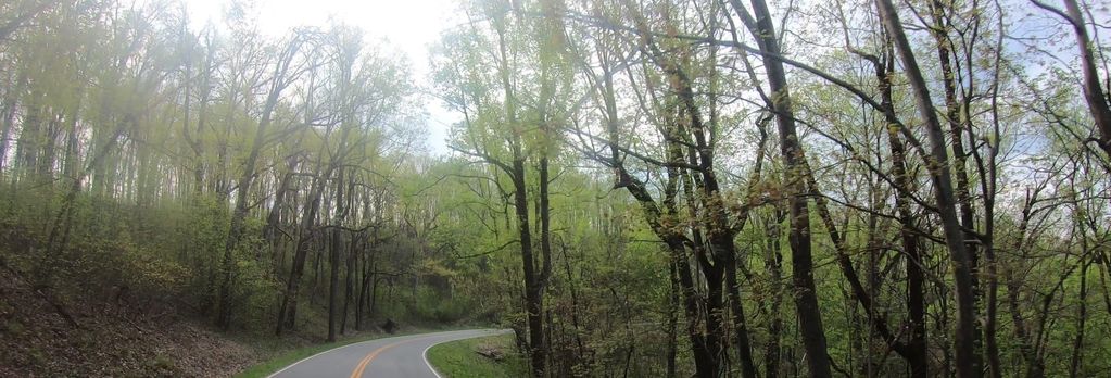 Gasline Road
