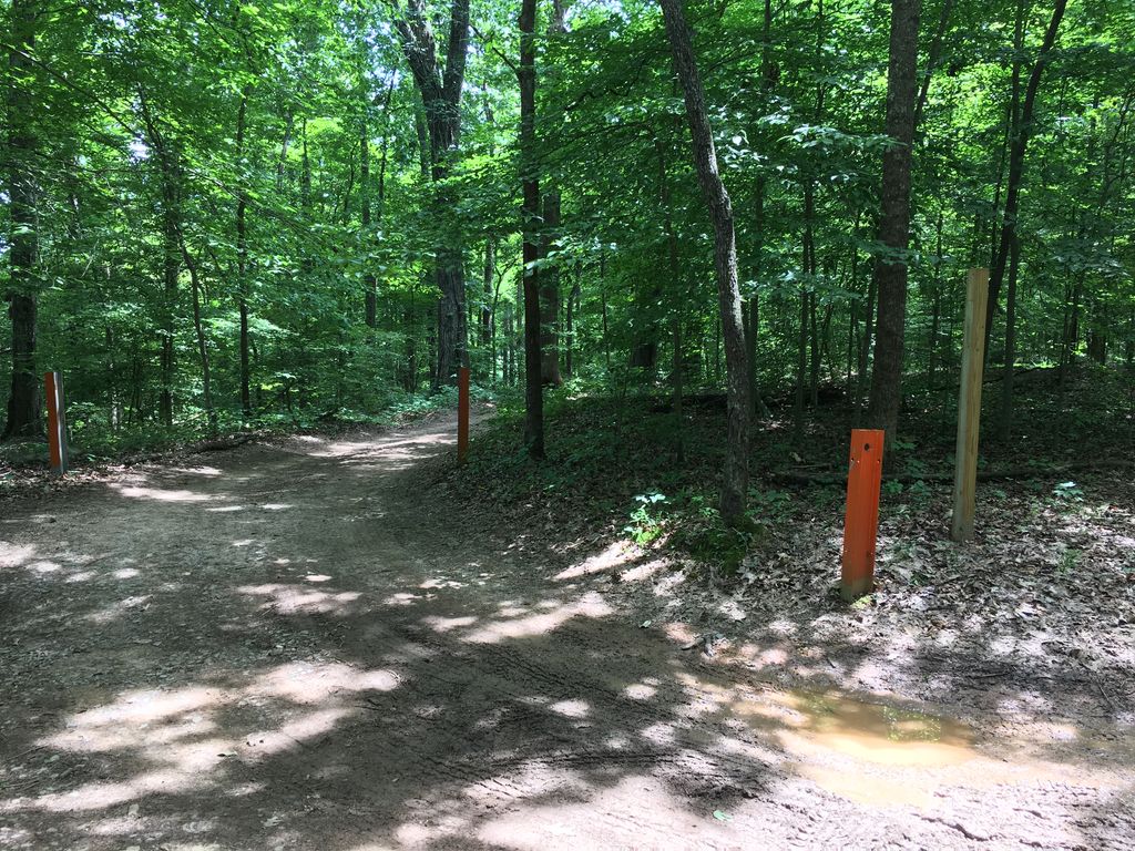 Lake View Trail