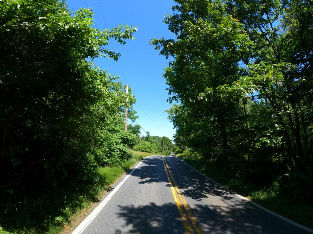 Kinglsey Trail