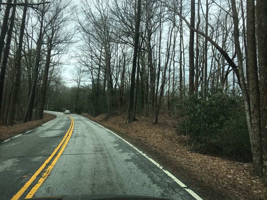 Frank Coggins Trail