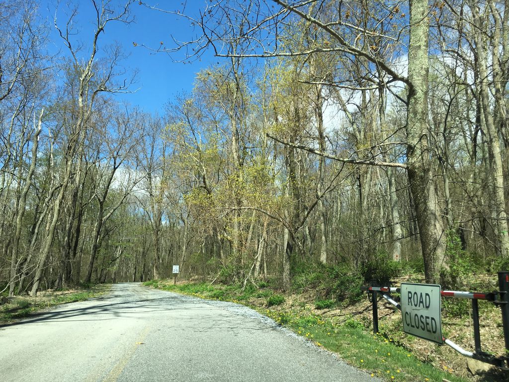 Browns Farm Trail