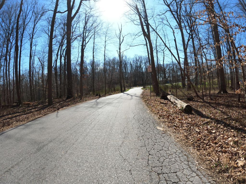 Patapsco Traverse (north hiking)
