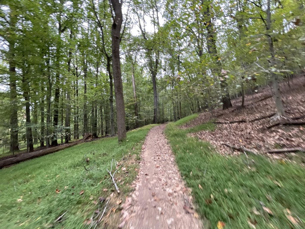 Sam's Grave Trail