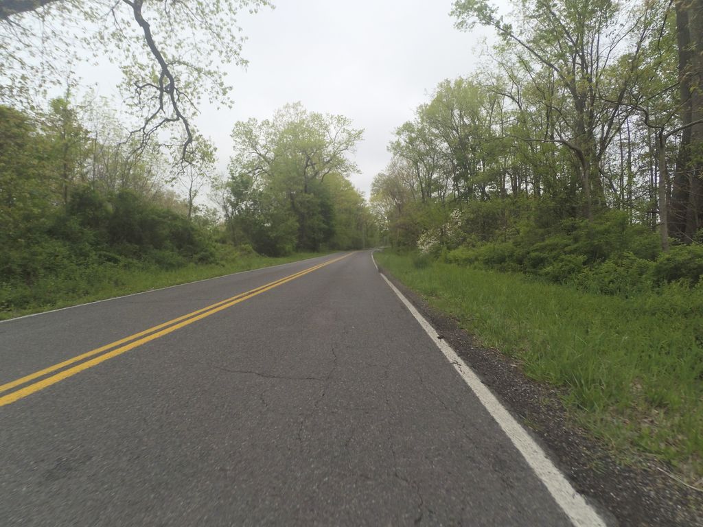 Woodland Loop
