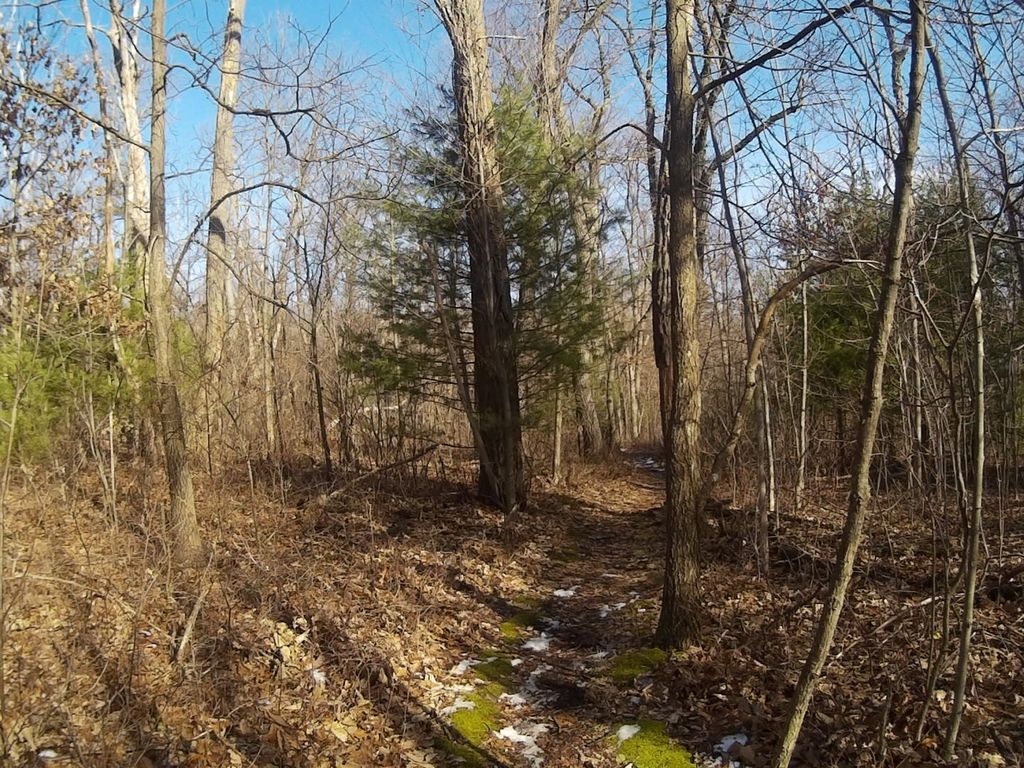 Mount Nittany Blue Trail