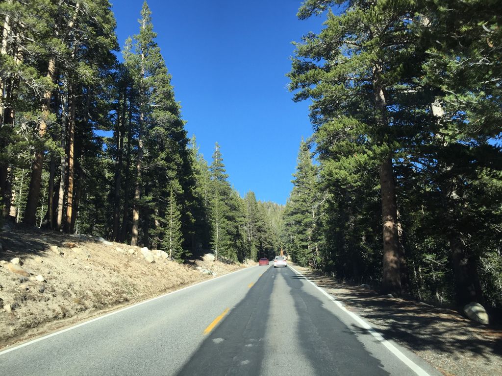 Lembert Dome Trail