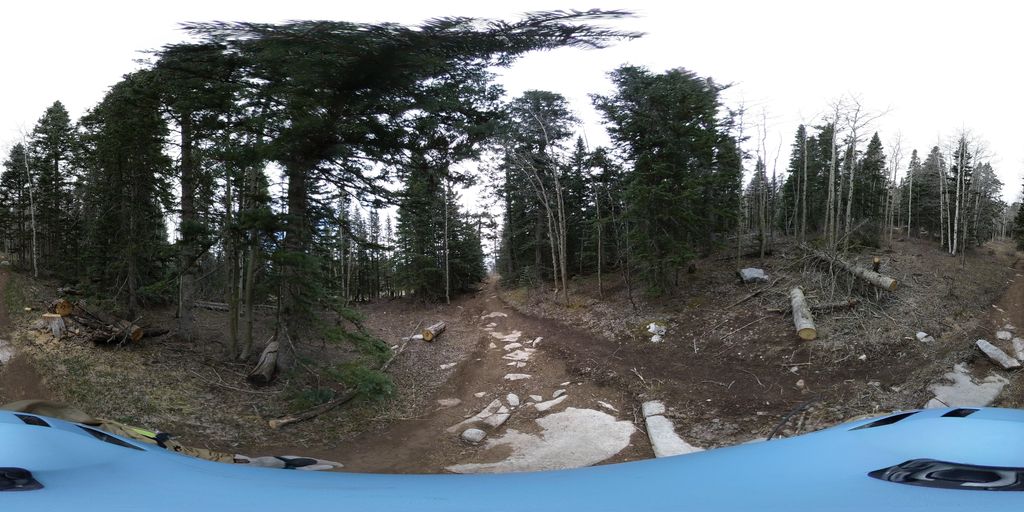 Rocky Point Trail