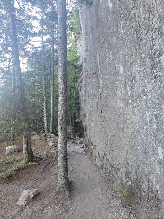 Beech Cliff Trail
