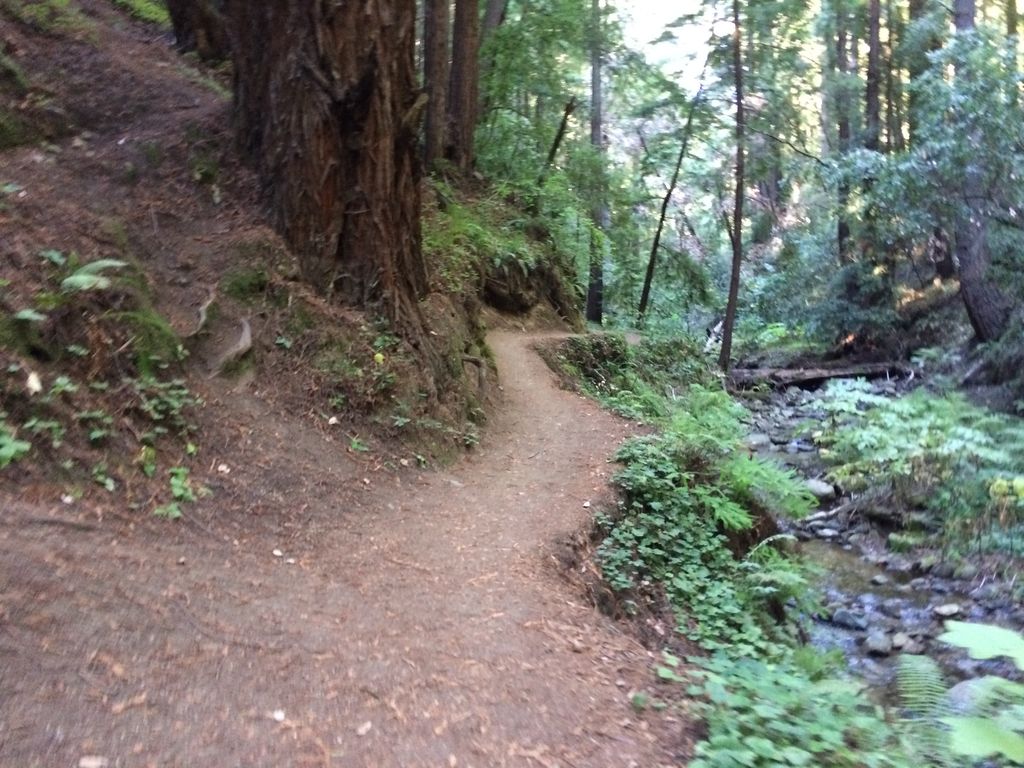 Fall Creek South Fork Trail