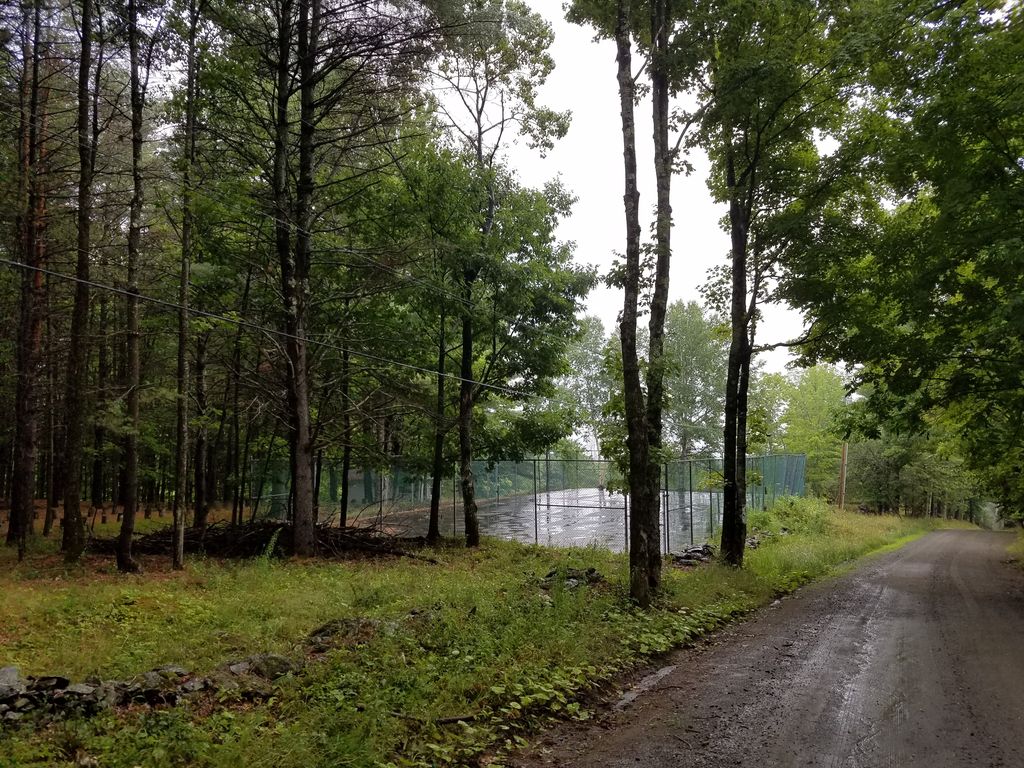 Mimi's Trail