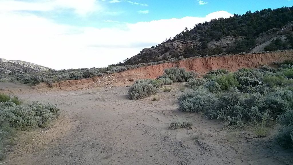The Box Trail