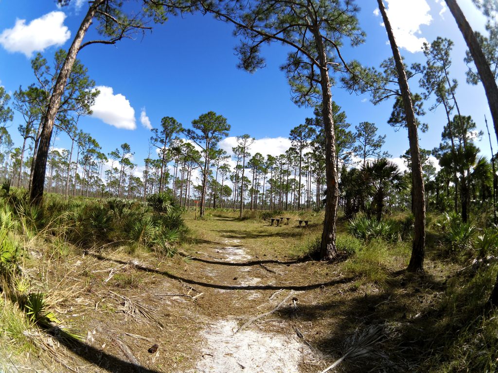 Red trail (Eeagle View, JDSP)