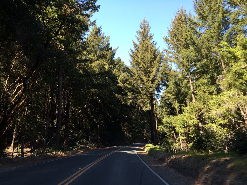 Castle Rock Trail