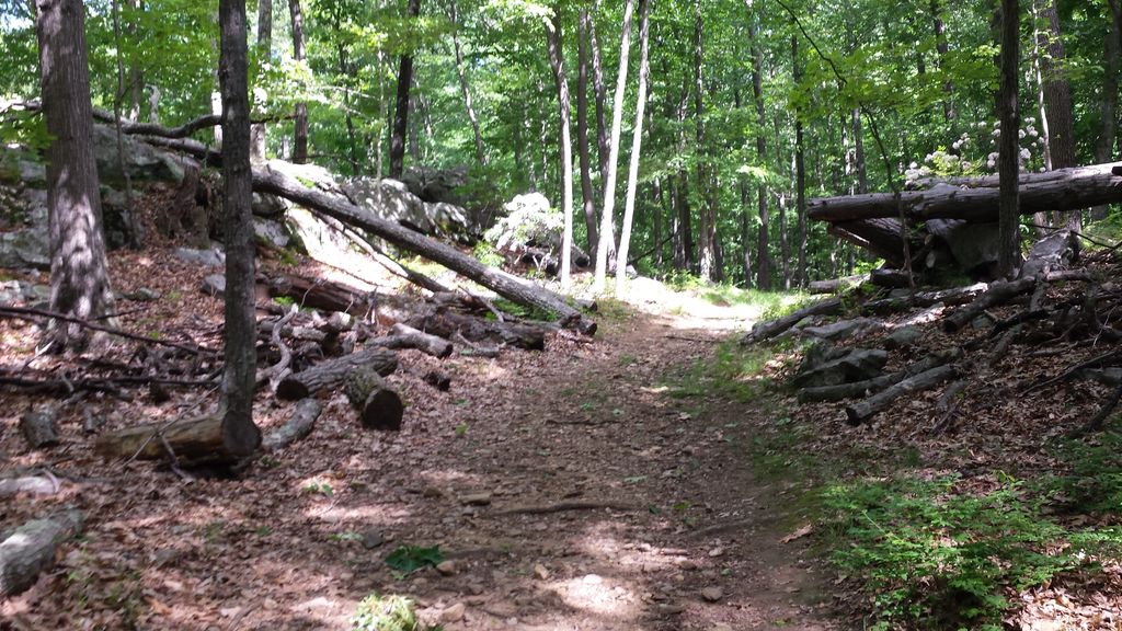 Leatherman's Loop
