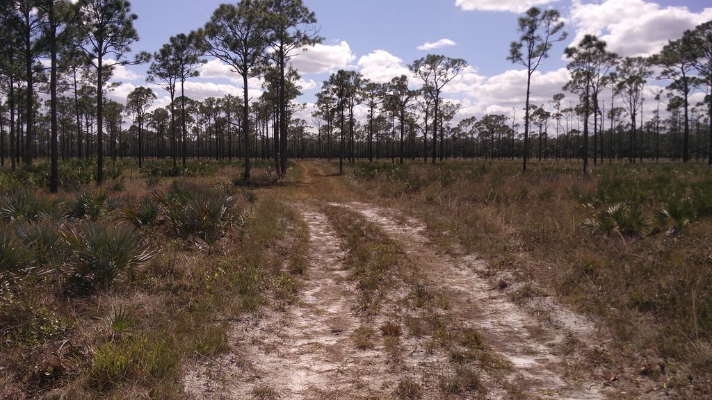 Blue trail (Eeagle View, JDSP)