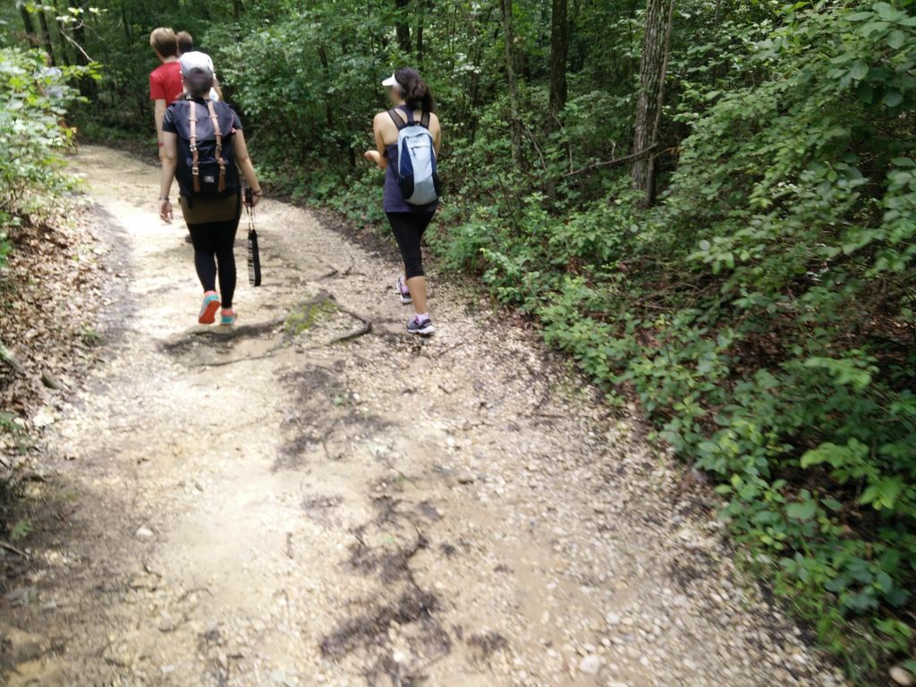 Orange Trail